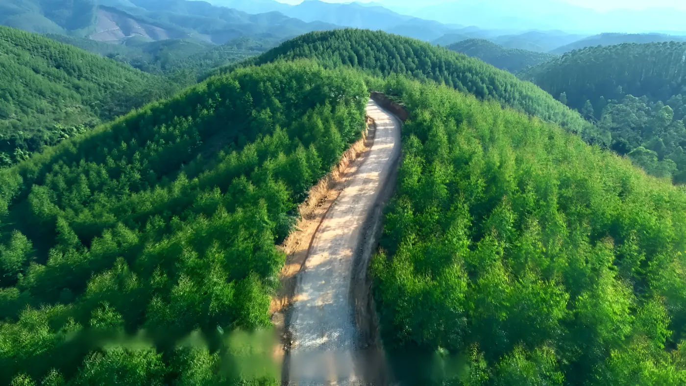 广西国有林区森林防火道路案例