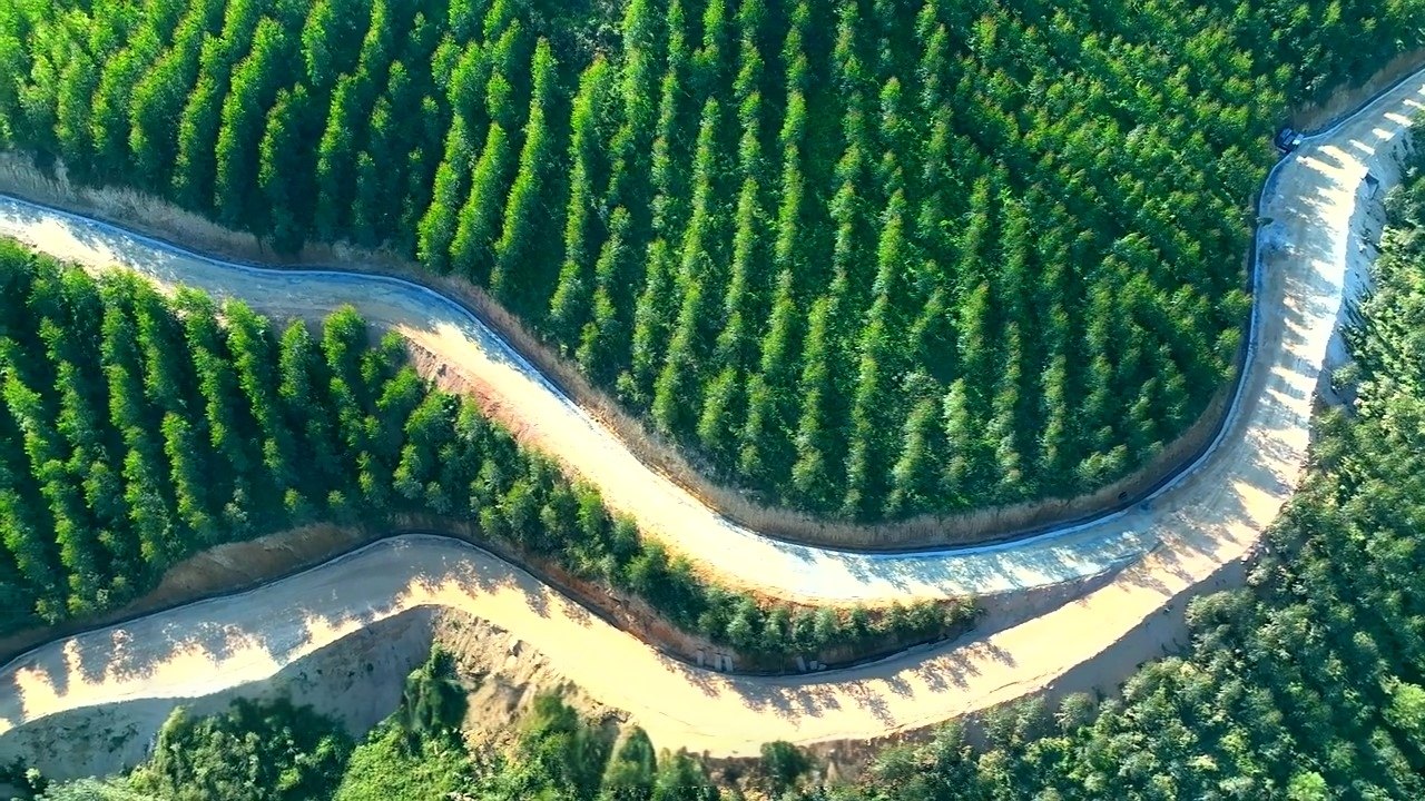 新疆辉安弘泰交通设施工程实景